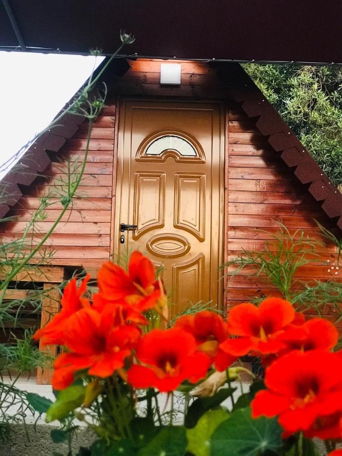 Violet Village Борш Екстер'єр фото